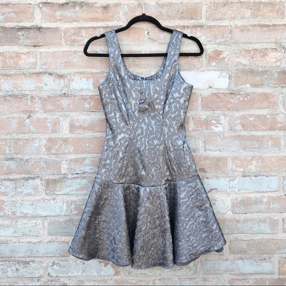 Yoana Baraschi Dress Silver Metallic Fit and Flare Drop Waist Mini 2000s